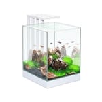 Acquario Askoll Nexus Pure Cube 25 29x29x38h con 15 Led