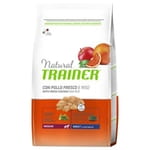 Trainer Natural Medium Adult Pollo Fresco - 12 Kg