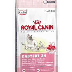 Cibo secco per Gatti Royal Canin Babycat 34