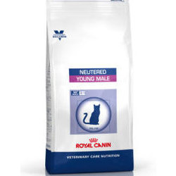 Cibo secco per Gatti Royal Canin Young Male Feline