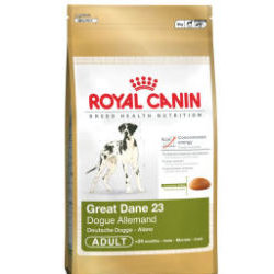 Cibo secco per Cani Royal Canin Great Dane / Alano 12 KG