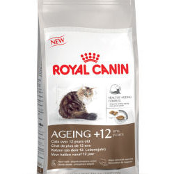 Cibo secco per Gatti Royal Canin Ageing +12 Secco