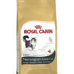 Cibo secco per Gatti Royal Canin Fbn Norwegian Forest Cat
