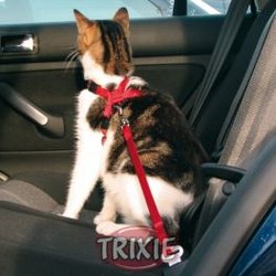 Cinture di sicurezza per Gatti Trixie Pettorina e cintura di sicurezza gatti