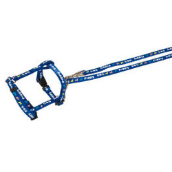 Cinture per Cani Trixie Leash and Harness 2m/23-34-8 mm
