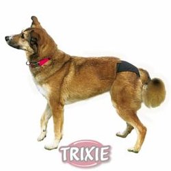 Pannolini per Cani Trixie Braguitas perros, S, 24-31 cm, Negro