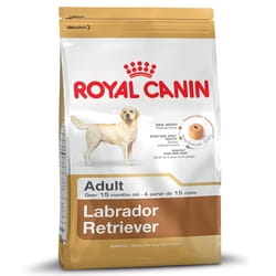 Royal Canin Labrador Retriever Adult - 12 kg