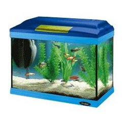 Acquario Cayman 40 Colours
