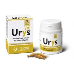 Urys Capsule 30 cps New