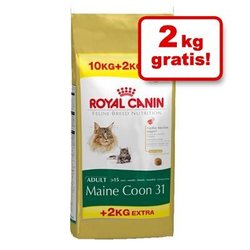 Royal Canin Breed - Persian Adult