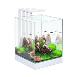 Acquario askoll nexus pure cube 25 29x29x38h con 15 led