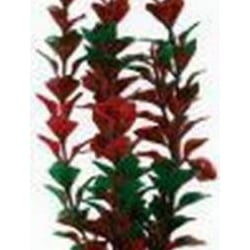 Pianta per acquario wave classic ludwigia md