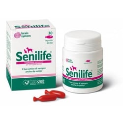 INNOVET SENILIFE 30 BIRILLI