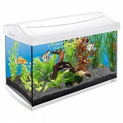 Tetra Aquaart Discovery Led 60l Antracite