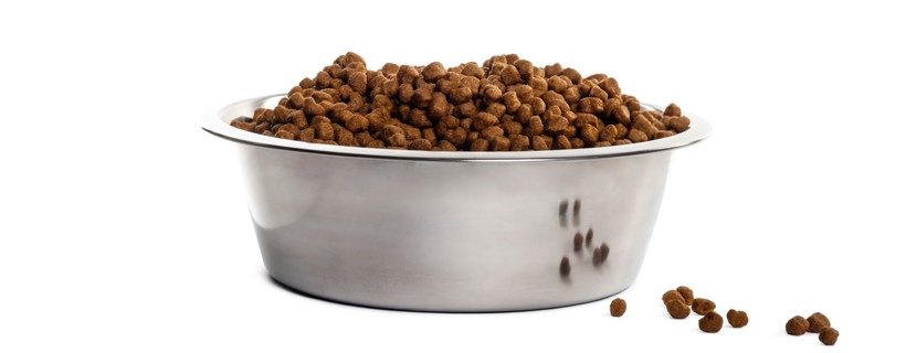 Le 3 qualità che deve avere il cibo per cani