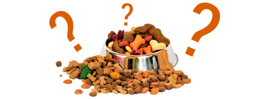 Sapete cosa si trova nel cibo del vostro cane?