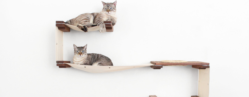 Le strutture da arrampicata per gatti: sono essenziali o sono una farsa?