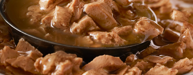 Gulasch felino