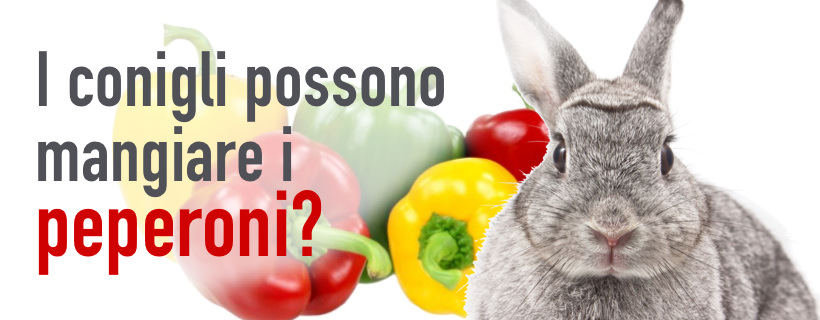 I conigli possono mangiare i peperoni (verdi o rossi)?