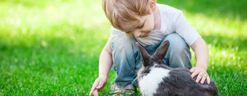 Come capire se il coniglio ci vuole bene