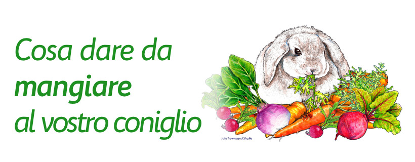 Cosa dare da mangiare al vostro coniglio