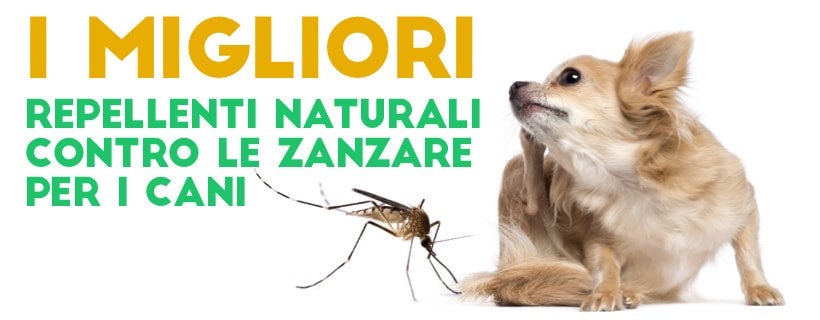 I migliori repellenti naturali contro le zanzare per i cani