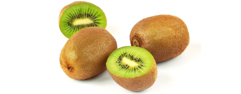 I conigli possono mangiare i kiwi?