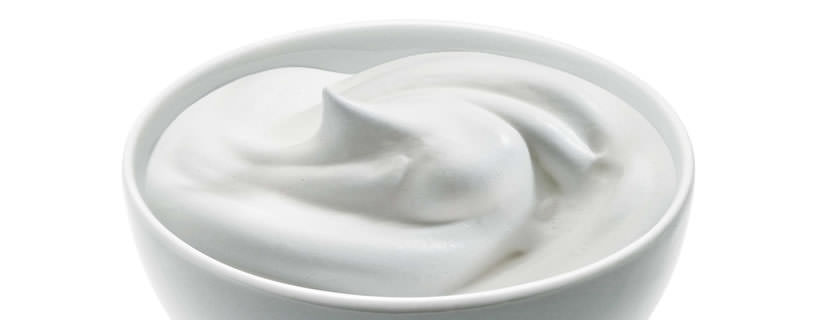 I cani possono mangiare lo Yogurt?