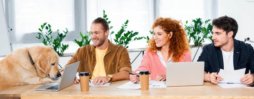 Ufficio pet-friendly: le regole d'igiene essenziali per un ambiente di lavoro sano