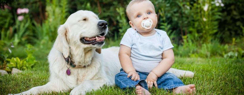 Le Allergie dei Bambini e i Cani