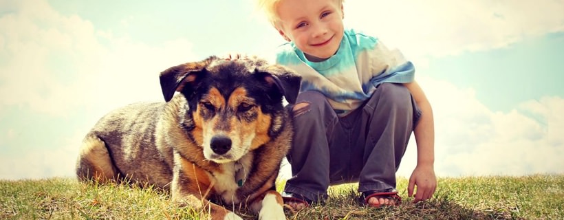 Studi dimostrano che i cani mordono più frequentemente i bambini rispetto agli adulti