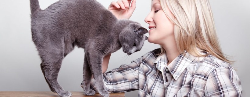 6 segni che dimostrano che sei una gattara!
