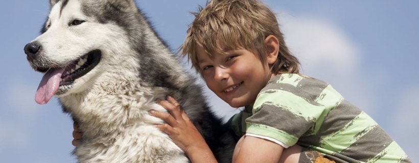 Come comportarti con tuo figlio in caso di smarrimento del vostro cane