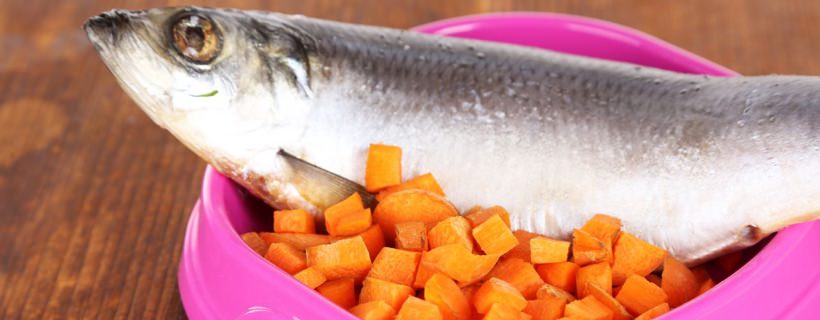 Puoi nutrire il tuo cane con il pesce, ed è un buon ingrediente nel cibo per cani?