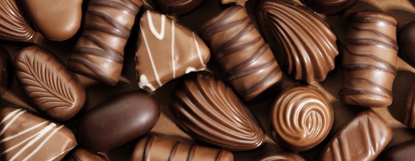 I criceti possono mangiare la cioccolata?