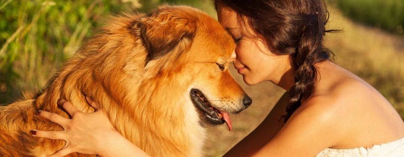 Come affrontare i problemi di salute del cane senza diventare matti