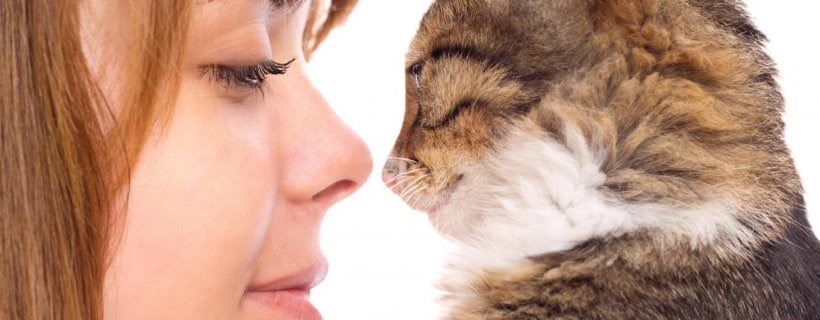 I sei migliori consigli per le persone allergiche ai gatti