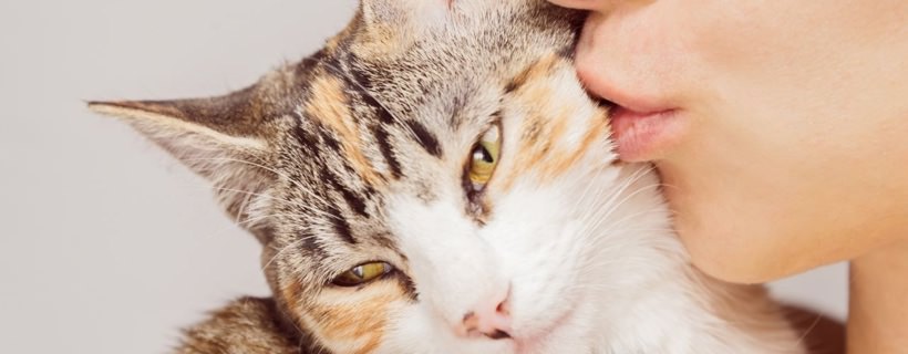 Le cinque cause più comuni di allergie nei gatti