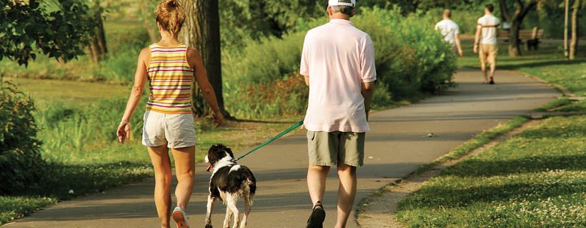 I tanti benefici del portare il vostro cane a fare una lunga passeggiata