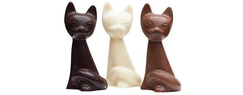 La cioccolata &egrave; davvero tossica per i gatti?