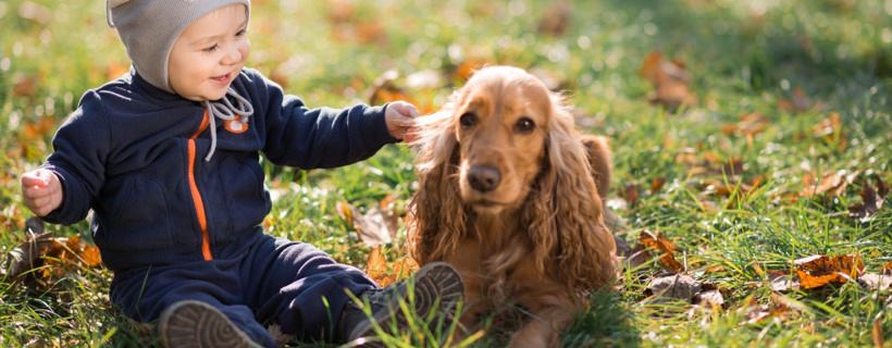 10 Consigli da Insegnare ai Bambini sui Cani