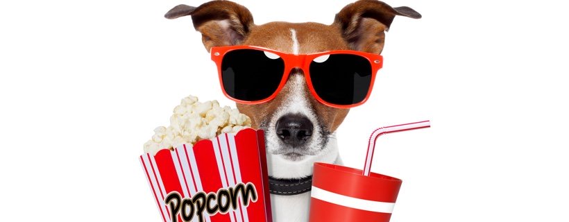 I popcorn fanno bene ai cani. Perché?
