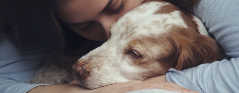 8 suggerimenti per rendere facile e sicura la vita del tuo cane non vedente