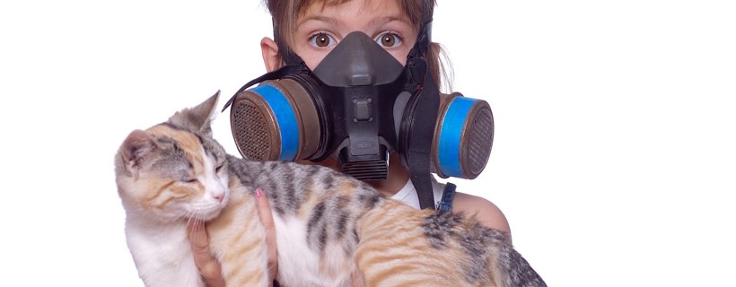 Il gatto emana un cattivo odore? Cause e soluzioni