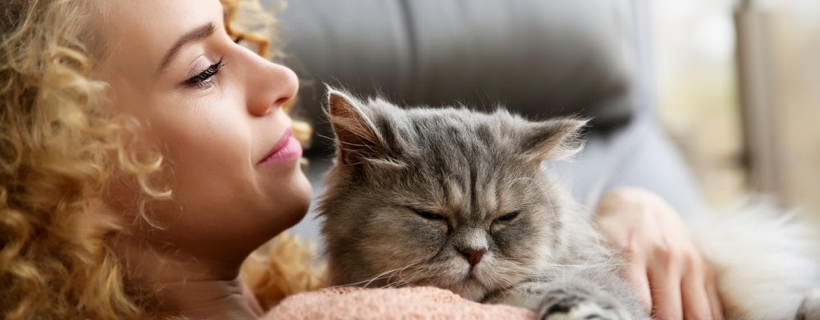 22 modi per farti amare dal tuo gatto