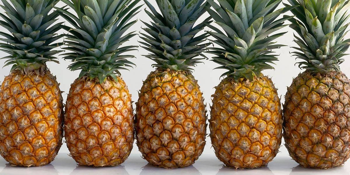 conclusioni sull'ananas