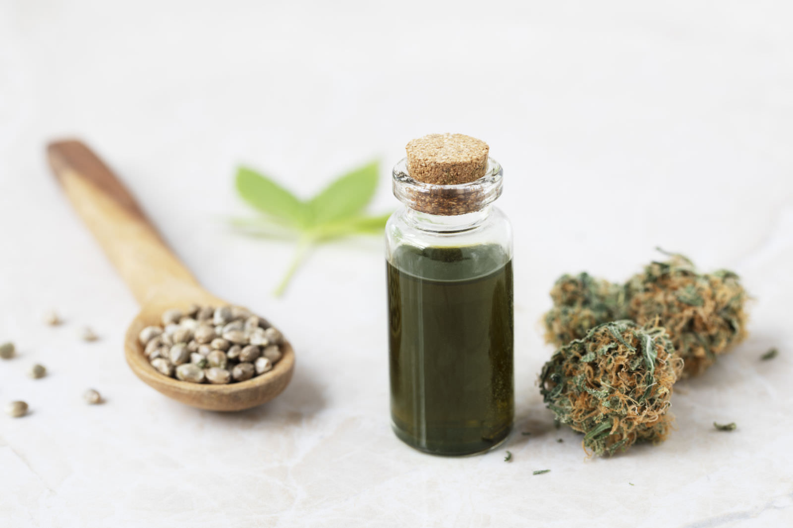 cbd per cani nervosi e spaventati