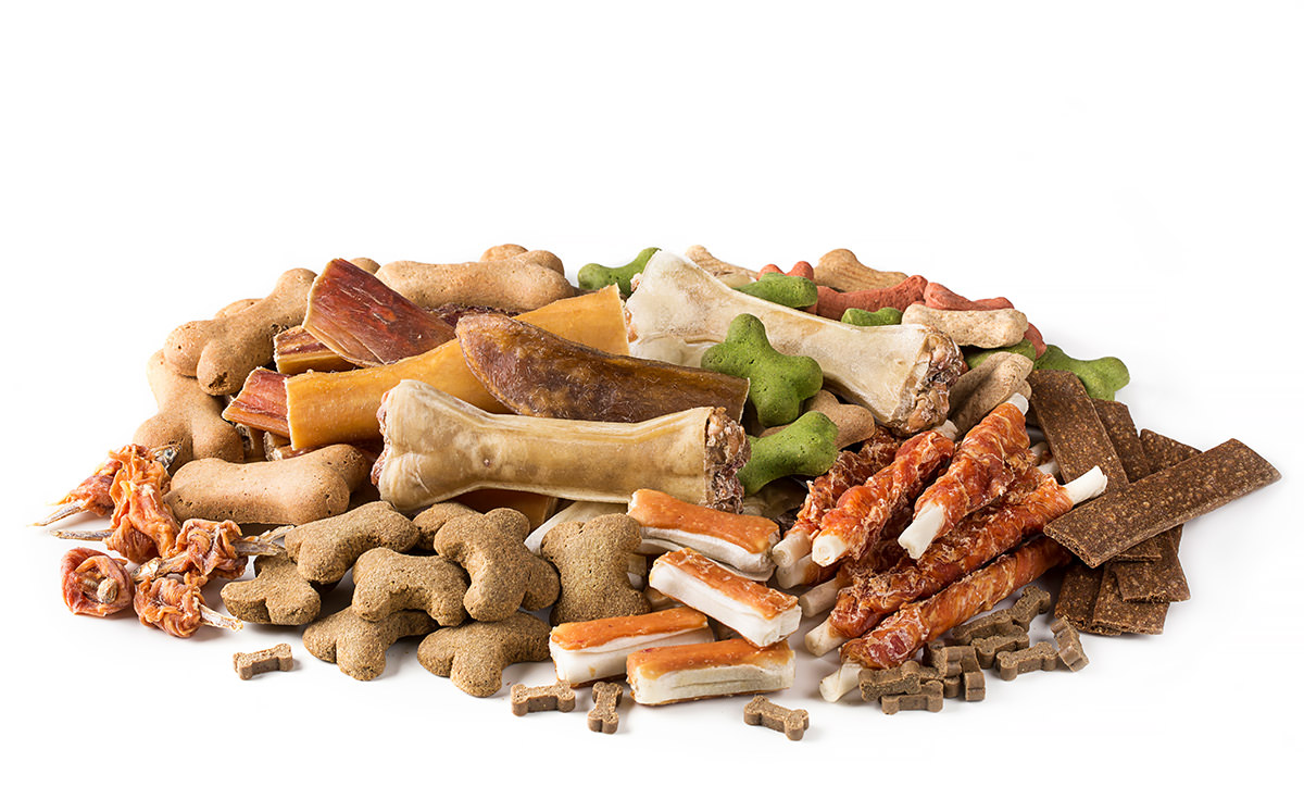 Cibo secco per cani