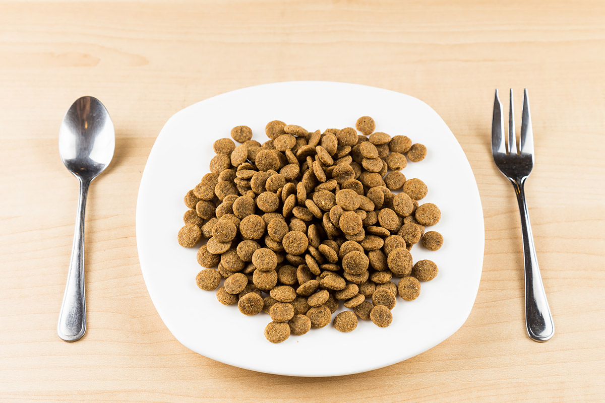 Cibo secco per cani