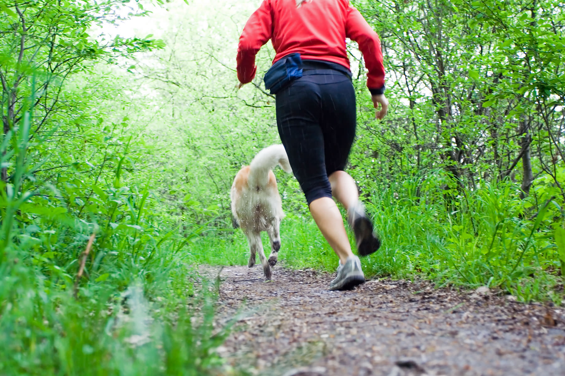 Correre con il cane
